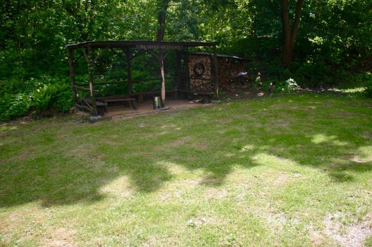 Villa Sunshine / Slunecna Vila Krásná Lípa Exterior foto